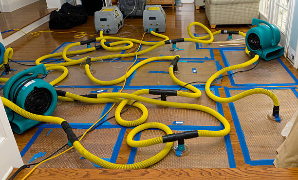 Professional Water Damage Repair technician working in Bridgeton, NC